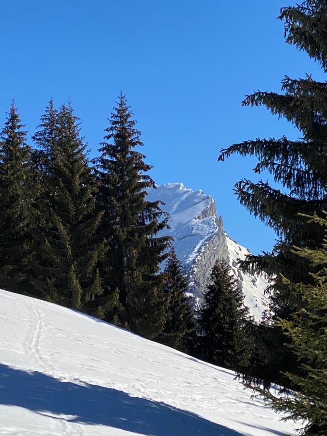 Apartamento Les Bouquetins La Clusaz Exterior foto
