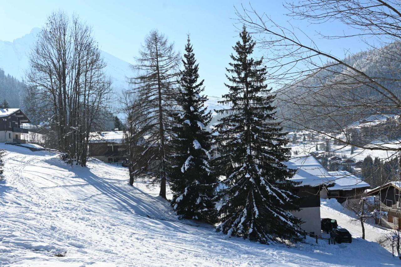 Apartamento Les Bouquetins La Clusaz Exterior foto